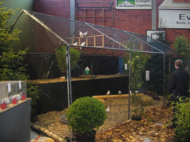 Ortsschau Langenberg 2008 155.jpg - Impressionen der Ortschau Langenberg 2008